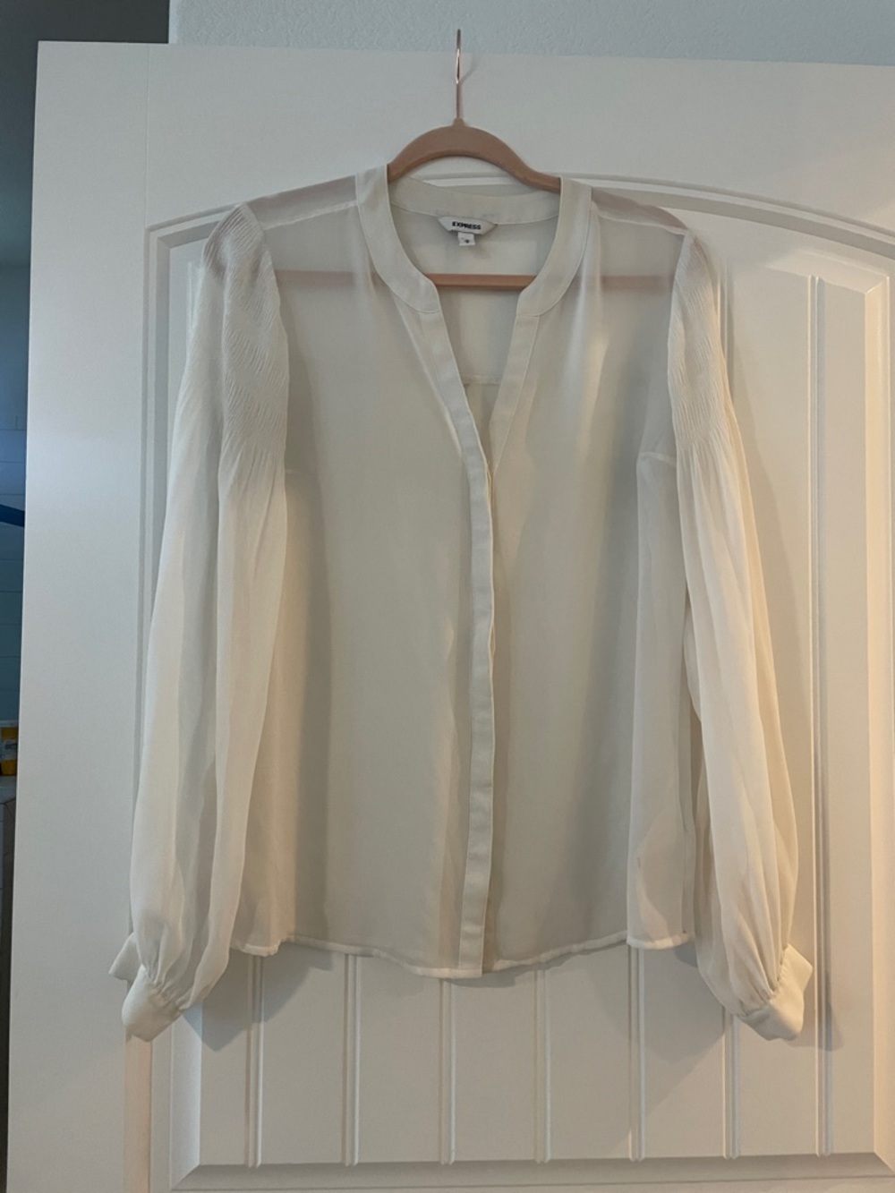 Express Sheer Cream V-Neck Long Sleeve Blouse